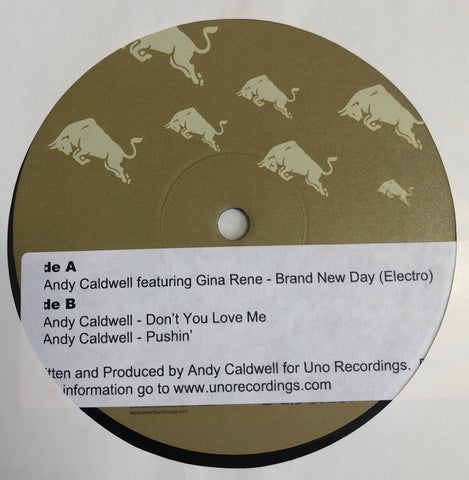Andy Caldwell ‎– Brand New Day (Electro) / Don't You Love Me / Pushin' - Mint 12" Single Record 2005 AREA DJ Smartbar May - Linz House / Electro